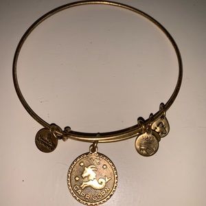 Alex and Ani Capricorn bracelet
